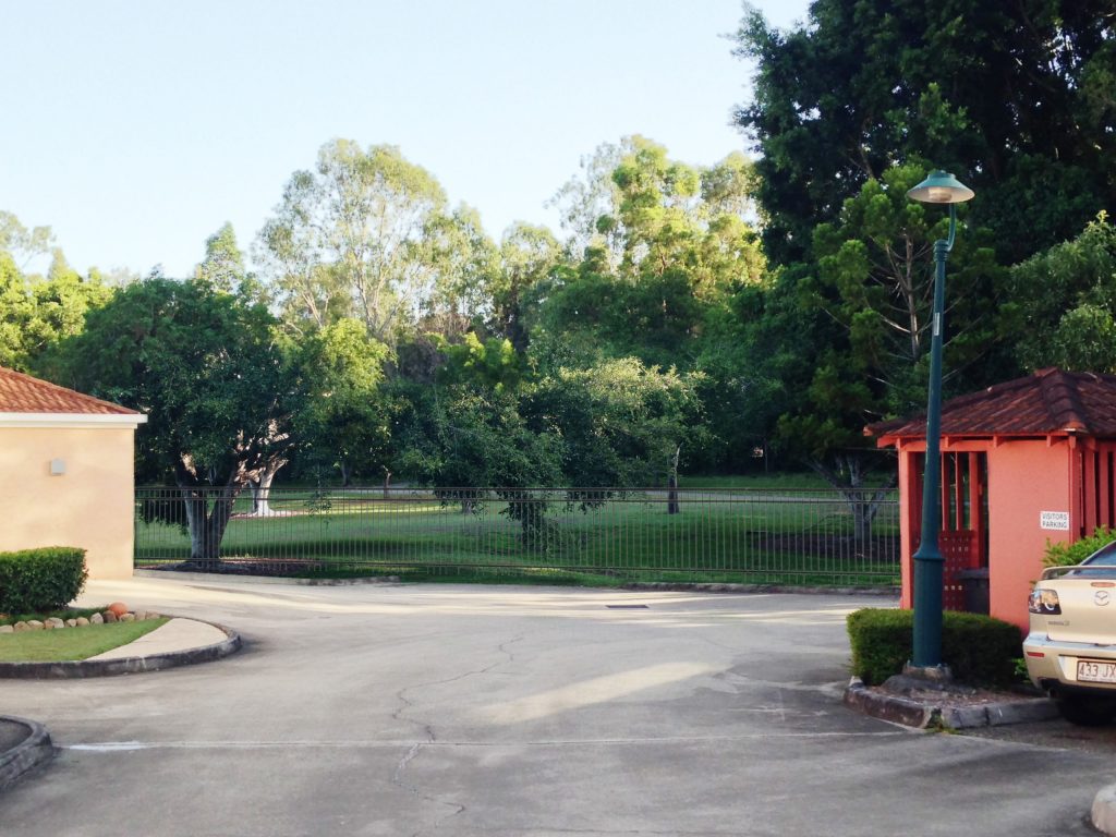 how it will look with the new back fence